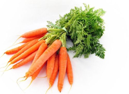 Organic Fresh Carrot, Color : Red