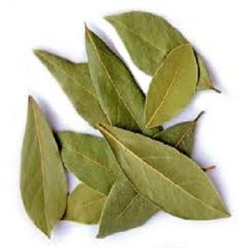 Dried Bay Leaves, Packaging Type : BULK