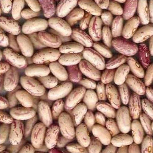 Organic Red Kidney Beans, Packaging Size : 10kg, 1kg, 20kg, 5kg