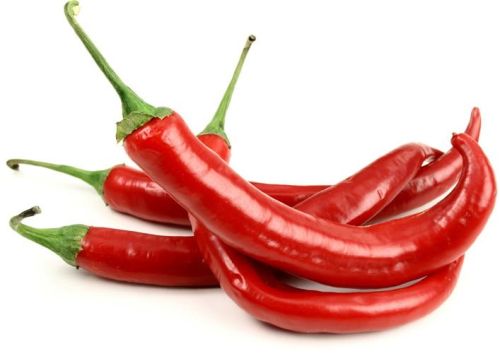 Fresh Red Chilli