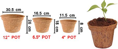 Coir Pot