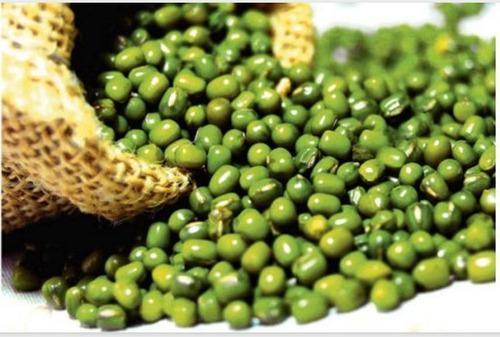 Blended Common Green Mung Beans, Packaging Type : Aluminium Foil Bag, Bottle, Jute Bag, Plastic Container