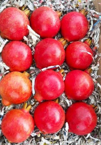 Natural Fresh Pomegranates, Packaging Type : Red
