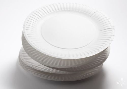 Round Disposable Paper Plates, For Event, Party, Snacks, Feature : Eco Friendly, Lightweight