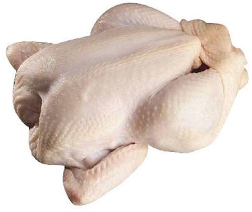Halal Fresh Frozen Bone Chicken, Certification : ISO-9001: 2008