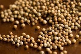 Organic Coriander Seeds, Color : Yellow