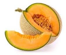 Indian Muskmelon