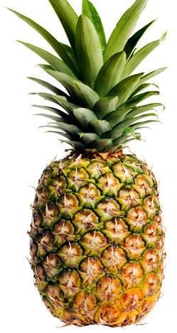 Fresh Pineapple, For Food, Juice, Snacks, Style : Canned, Dried