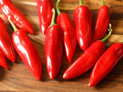 Fresh Red Chilli, Taste : Spicy