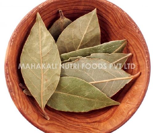 Bay Leaf