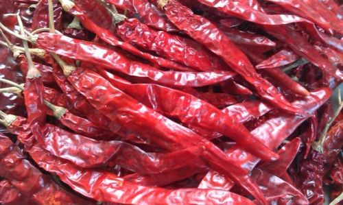 Dry Red Chilly