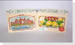 Lemon Tea Bags