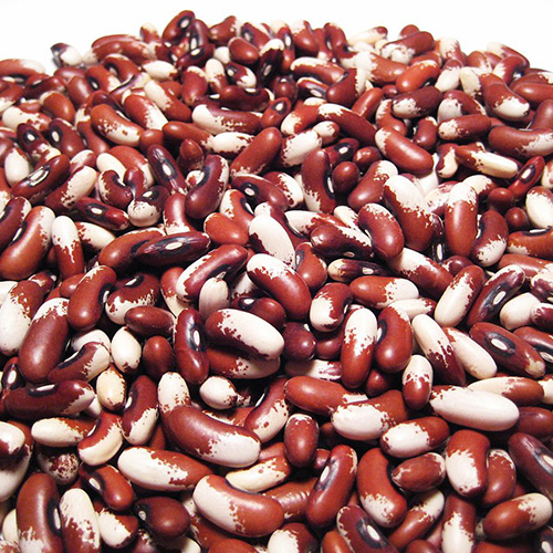 Red kidney beans