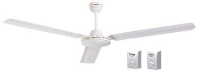 Ceiling fan