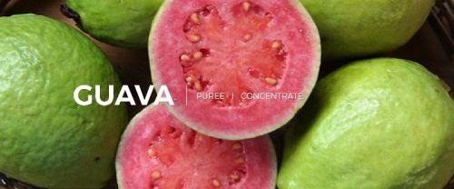 Guava