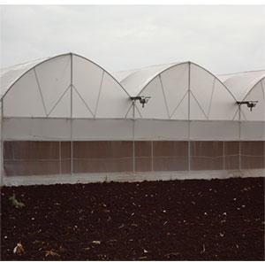 Fan & Pad Greenhouse