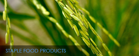 1121 white sella rice