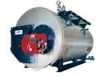Steam Boiler, Pressure : 250-500Psi