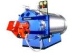 Thermic Fluid Heater