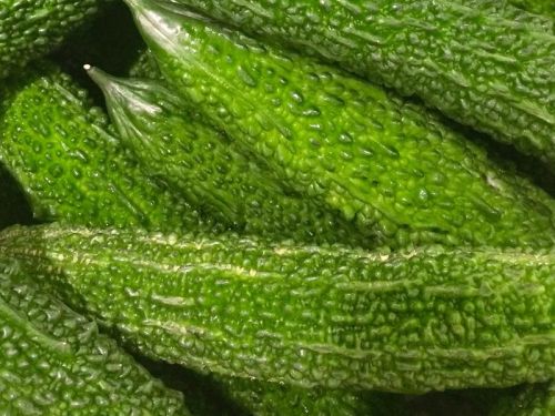 Bitter gourd, Cultivation Type : Organic