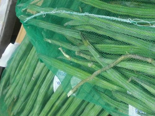 Drumstick, Fresh Drumstick,drumstick