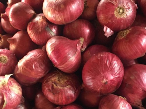 Red Onions