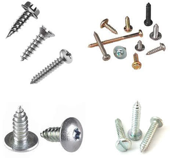 Self Tapping Screws