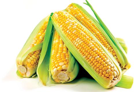 Corn