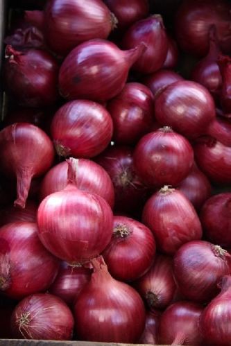 Red onion, Certification : SGS