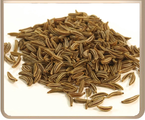 CUMIN SEEDS :
