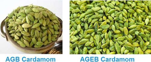 Planet Leafy-Spices-Cardamom Cardamom