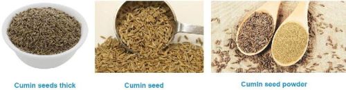 Cumin seeds, Packaging Type : Light brown