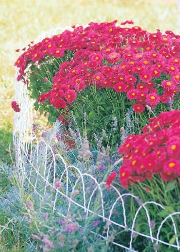 Roll Flat Top Garden Fence