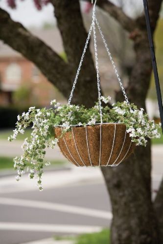 Growers Hanging Basket