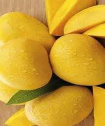 Fresh Alphonso Mango, Taste : Sweet