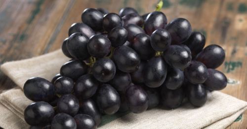 Fresh Black Grapes for Food