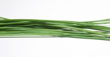 Natural Fresh Drumstick, Color : Green