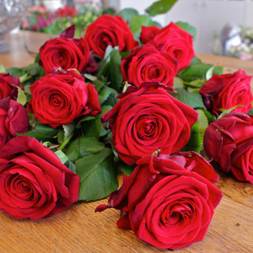 Fresh Red Rose Flowers, Feature : Freshness, Its Rich Fragrance