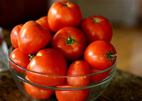 Organic Fresh Tomato, Packaging Size : 5-20kg