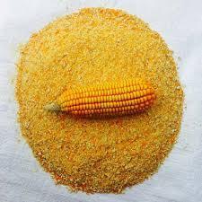 Maize cattle feed