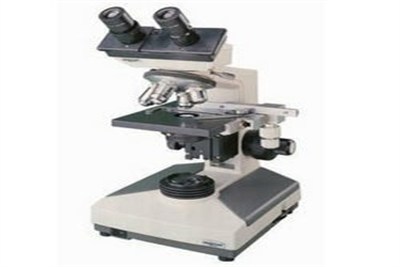 Binocular microscope