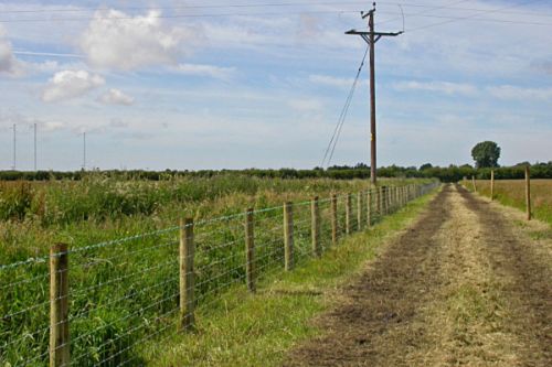 Iron Barbed Wire