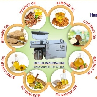 304 Food Grade Stainless Steel Mini Oil Extraction Machine, Power : 400+/-50 Watt