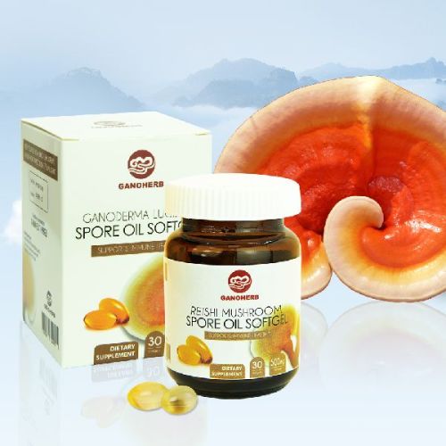 Pure Ganoderma Lucidum Seed Reishi Spores Oil