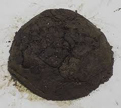 Cow Dung, For Fertilizer Or ETP