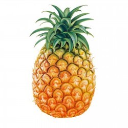 Fresh Pineapple