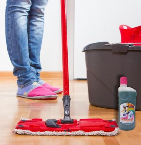 Floor cleaner