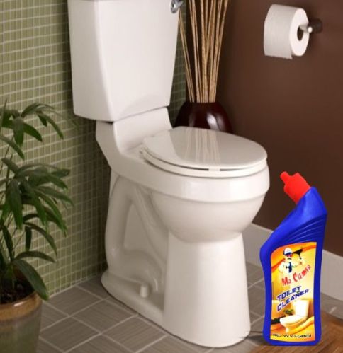 Toilet cleaner