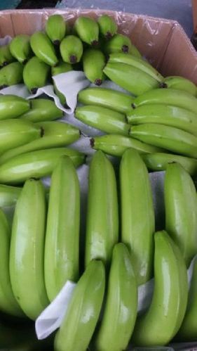 Fresh banana, Packaging Type : Green, Yellow for Food