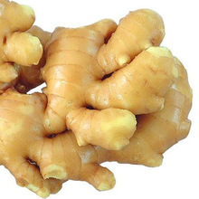Fresh ginger, Certification : ISO
